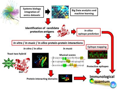 Quantum vaccinomics platforms to advance in vaccinology